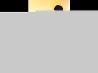 Pounding her ass hard in every position she can