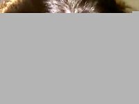 Her warm lips teased my hard cock until I came in her mouth.